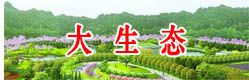 项目咨询